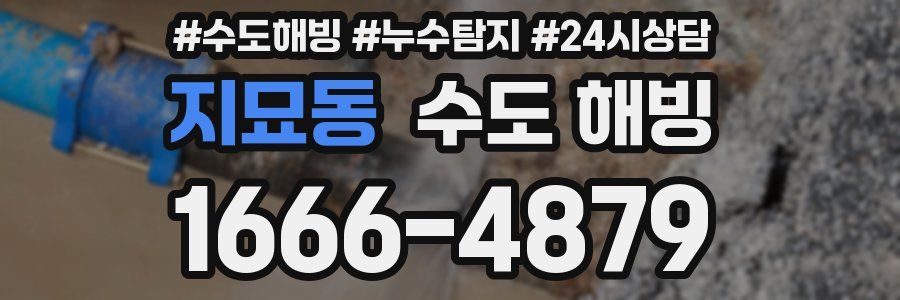지묘동 수도 해빙