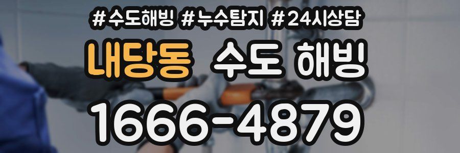 내당동 수도 해빙