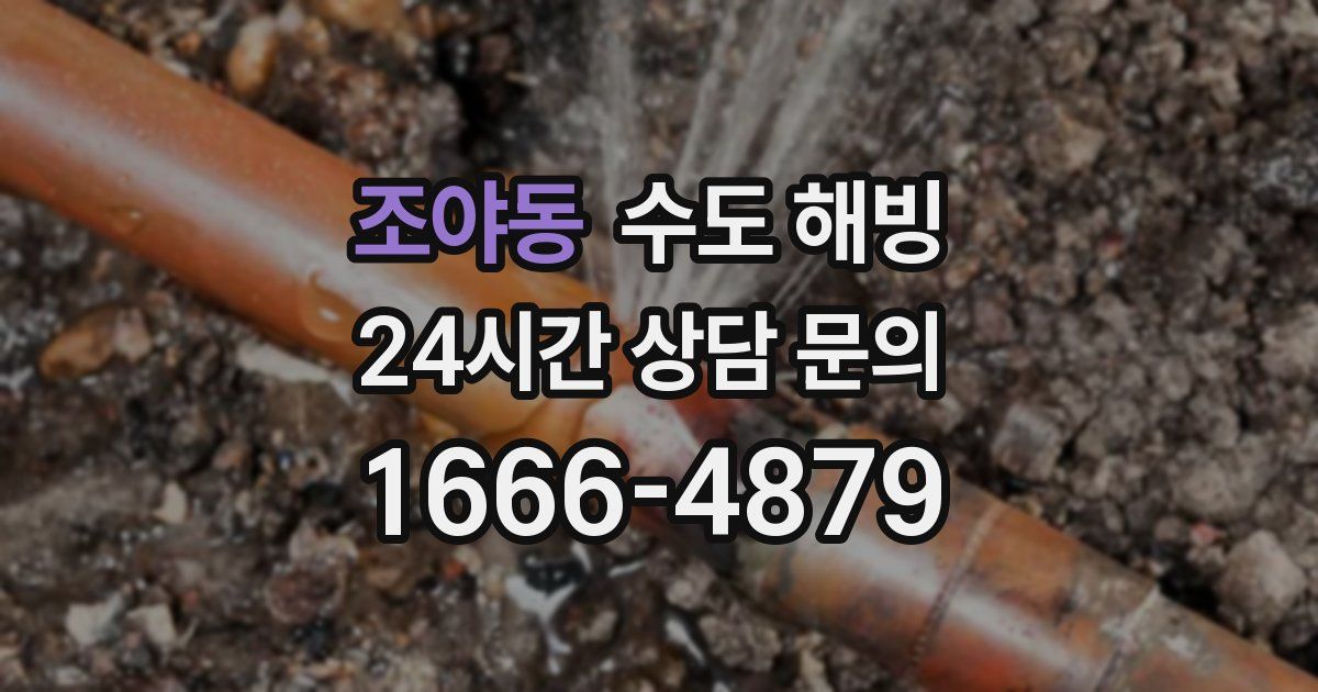 조야동 수도 해빙