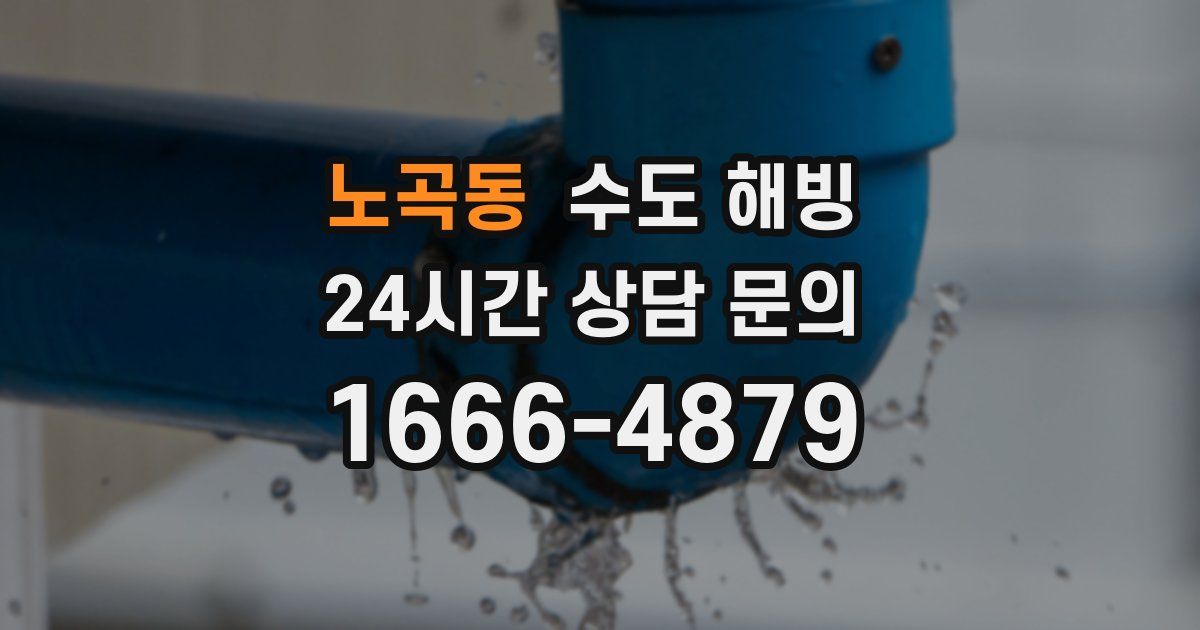 노곡동 수도 해빙