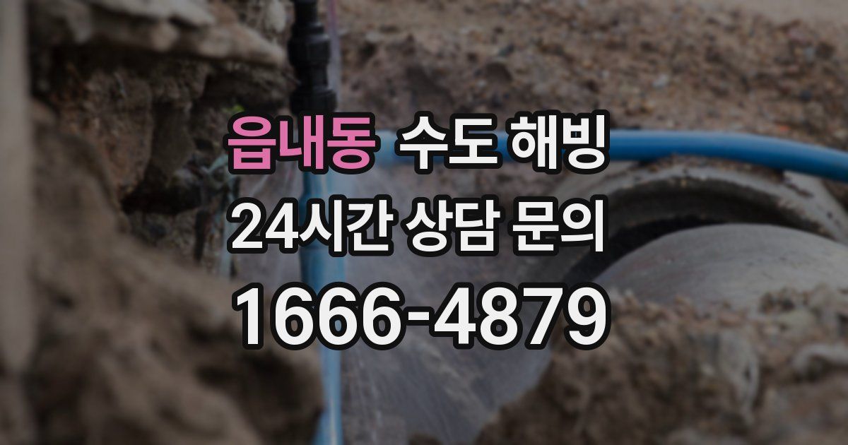 읍내동 수도 해빙
