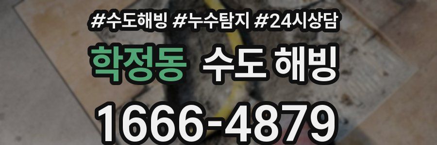 학정동 수도 해빙