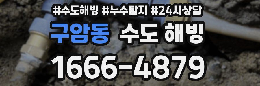구암동 수도 해빙