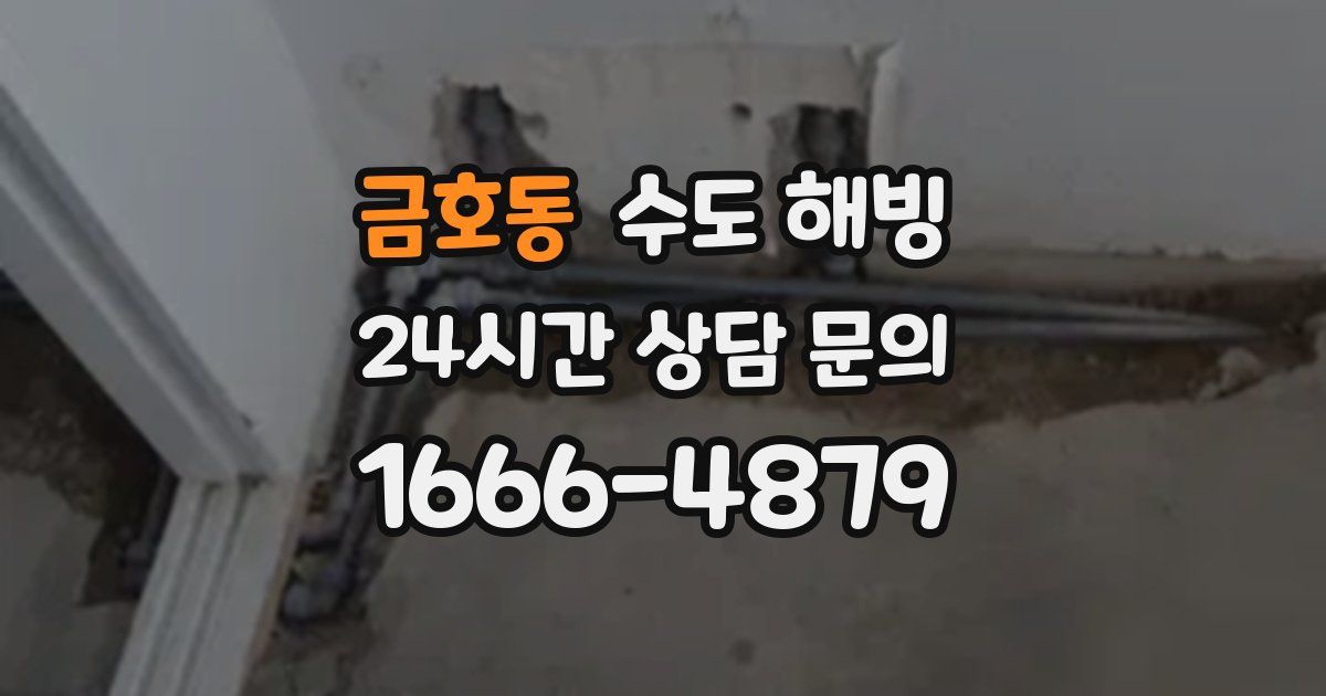 금호동 수도 해빙