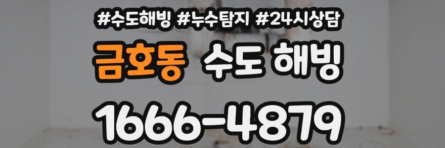 금호동 수도 해빙