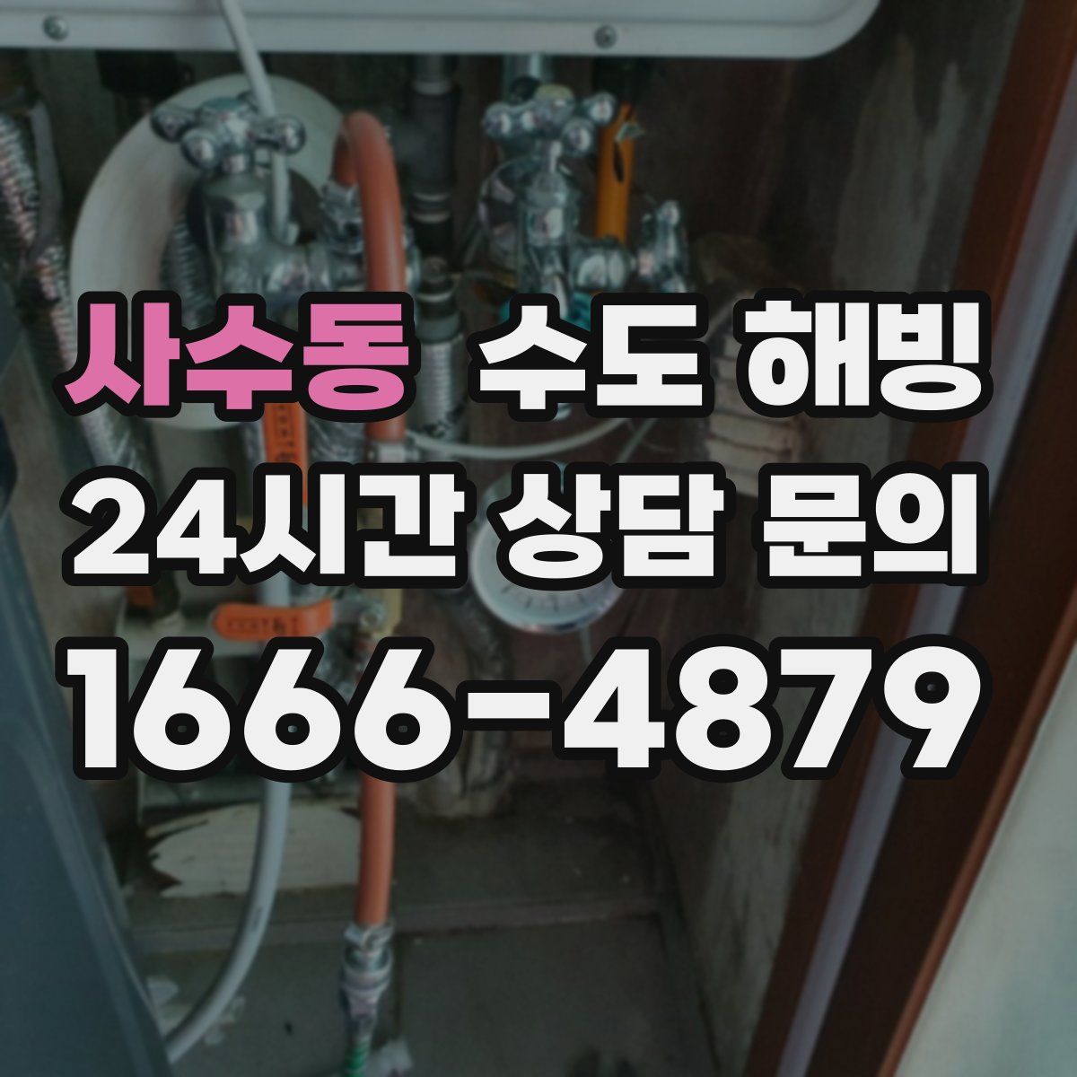 사수동 수도 해빙