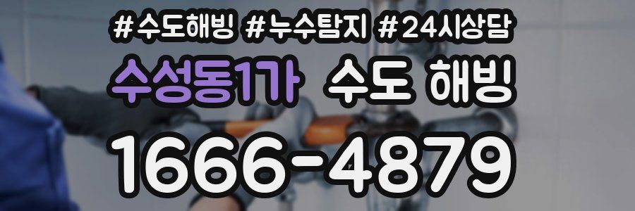 수성동1가 수도 해빙