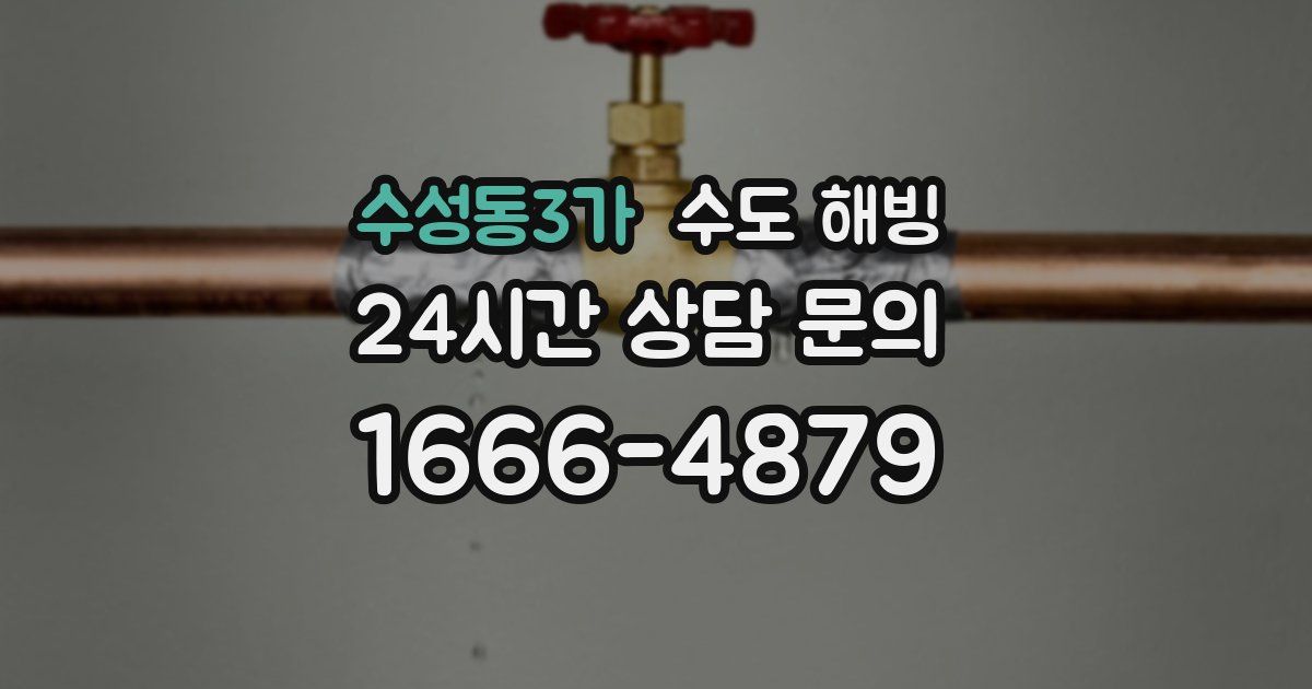 수성동3가 수도 해빙