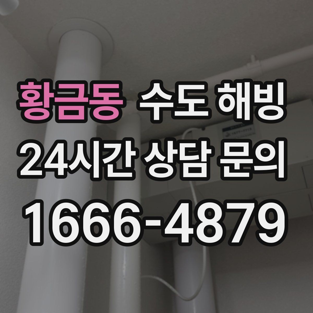 황금동 수도 해빙 전 어는 위치를 찾는 게 가장 빠릅니다