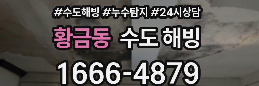 황금동 수도 해빙