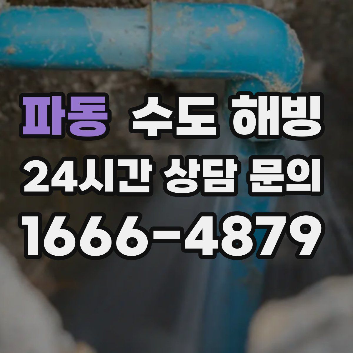 파동 수도 해빙