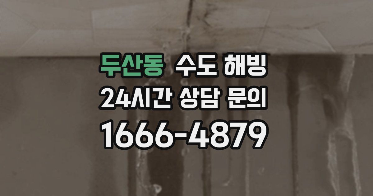 두산동 수도 해빙