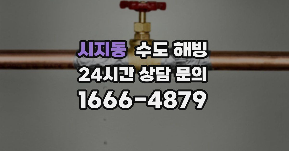 시지동 수도 해빙