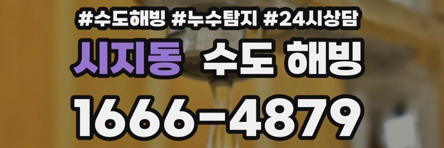 시지동 수도 해빙
