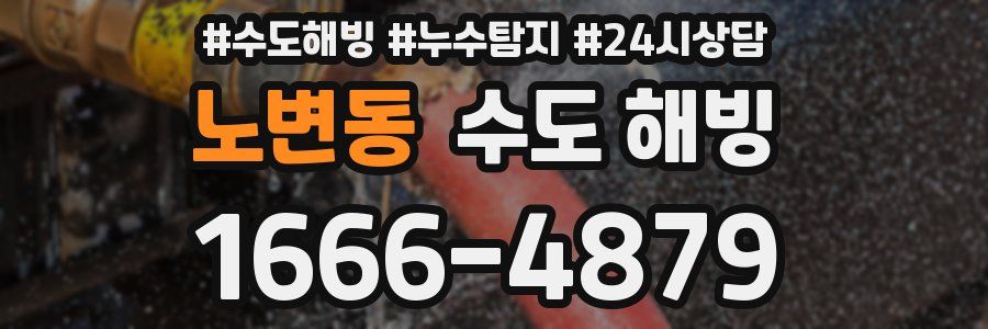 노변동 수도 해빙