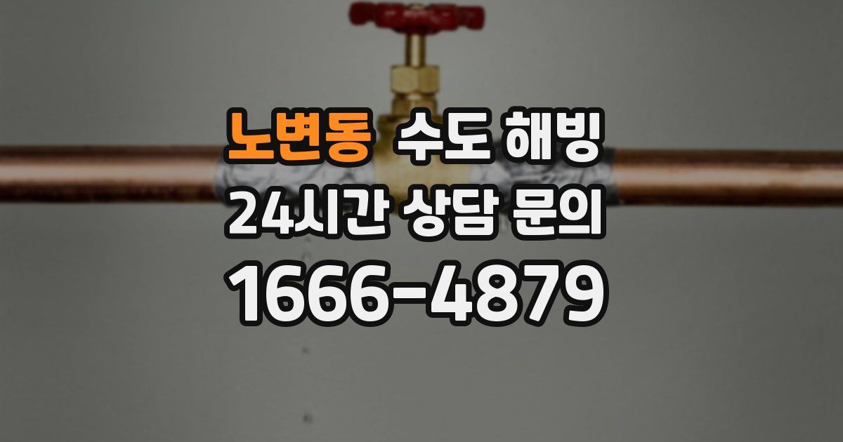 노변동 수도 해빙