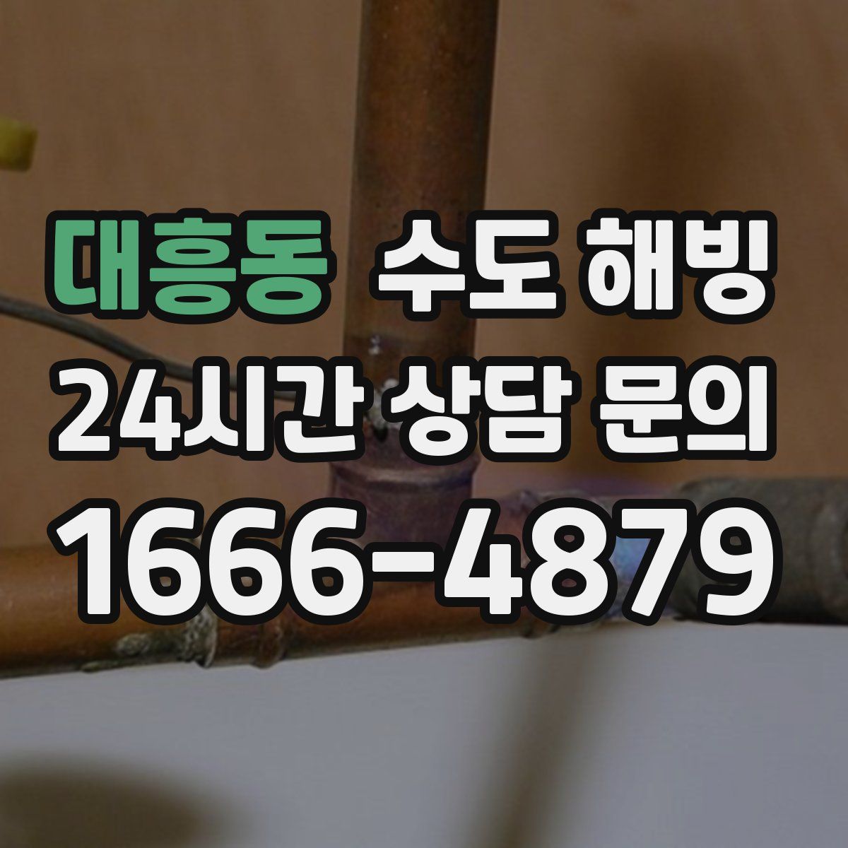 대흥동 수도 해빙