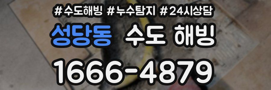 성당동 수도 해빙