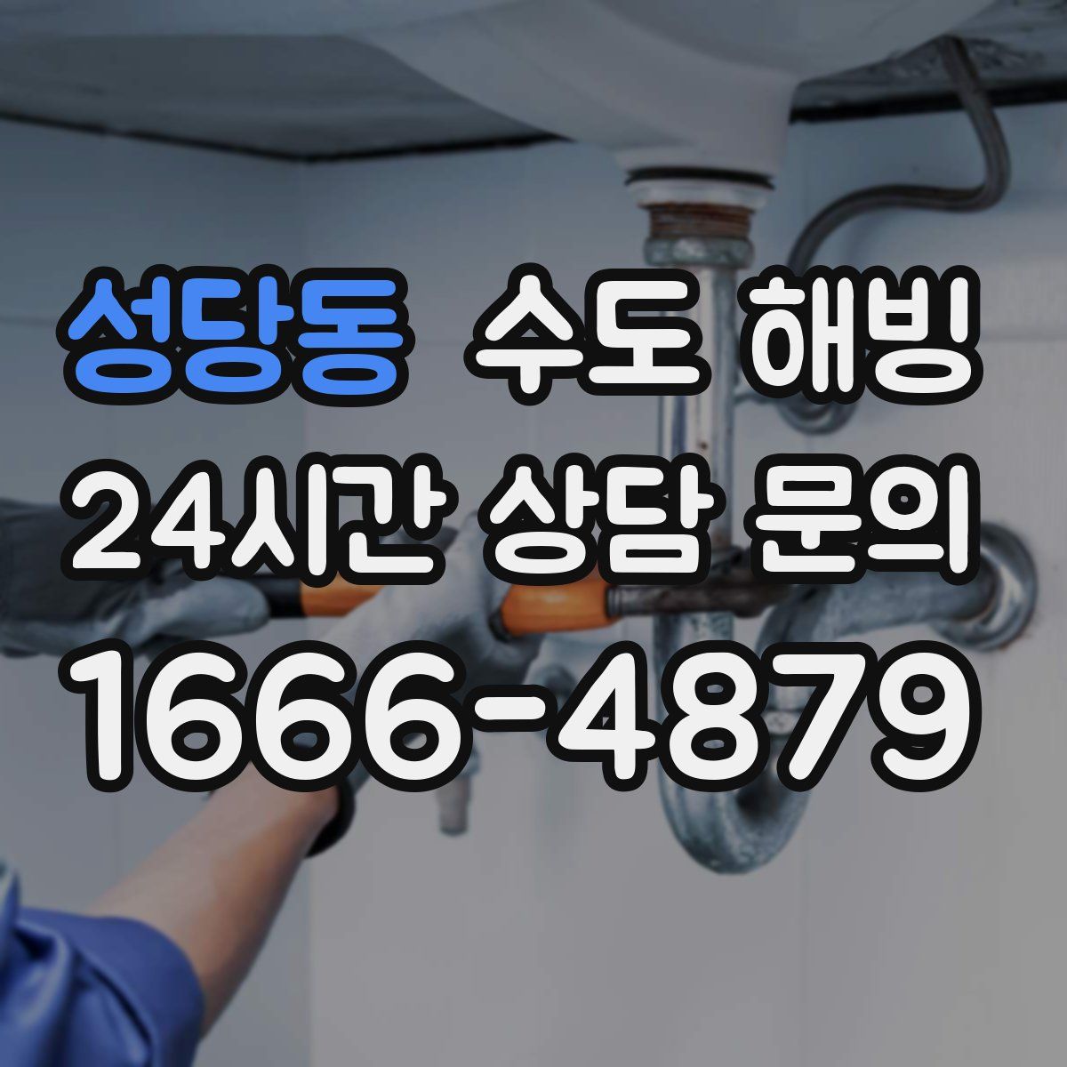 성당동 수도 해빙