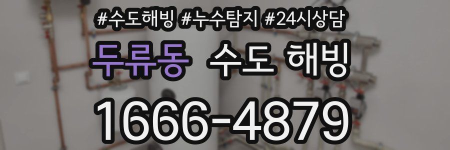 두류동 수도 해빙