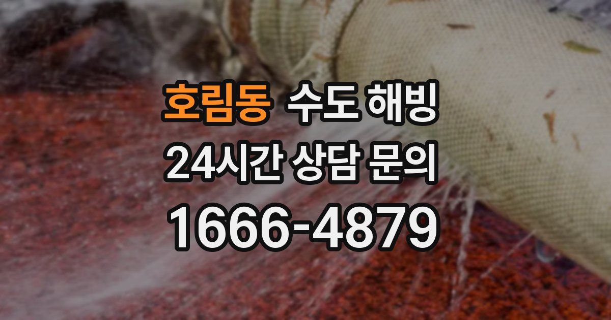 호림동 수도 해빙