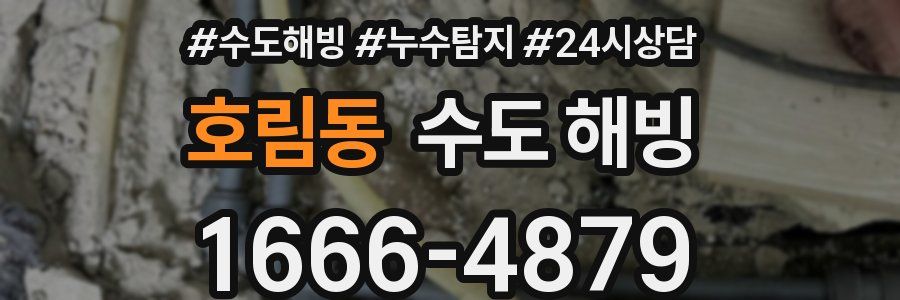 호림동 수도 해빙