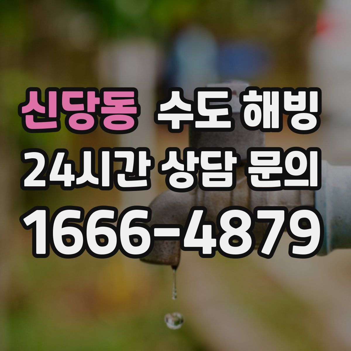 신당동 수도 해빙