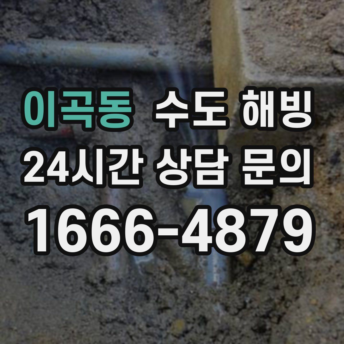 이곡동 수도 해빙