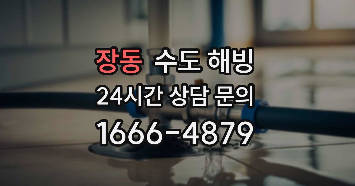 장동 수도 해빙