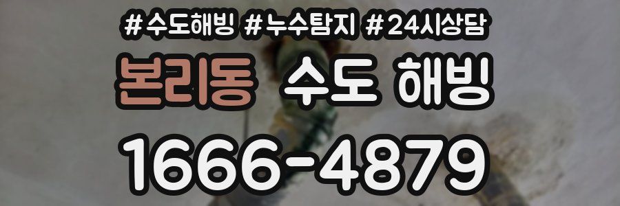 본리동 수도 해빙