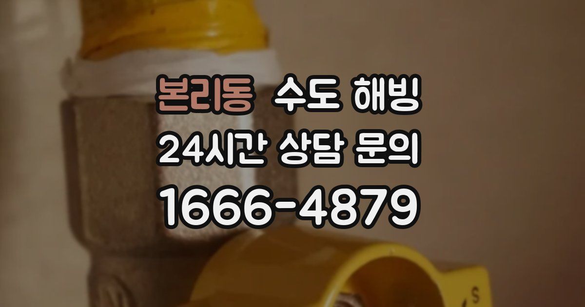 본리동 수도 해빙