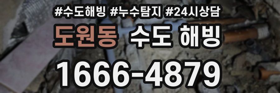 도원동 수도 해빙