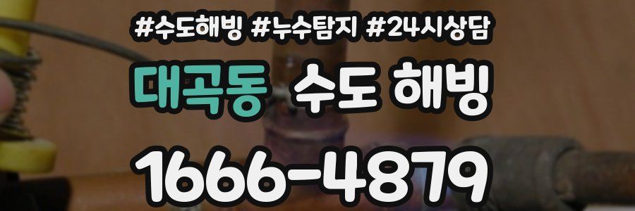 대곡동 수도 해빙