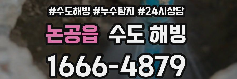 논공읍 수도 해빙