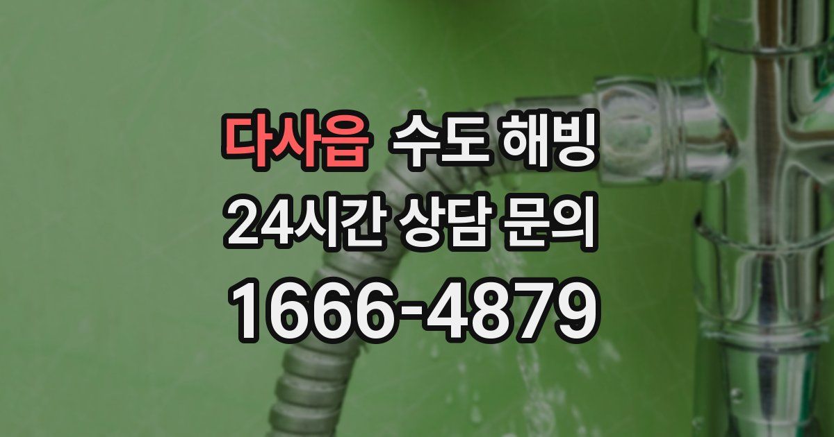 다사읍 수도 해빙