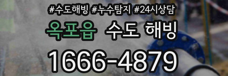 옥포읍 수도 해빙