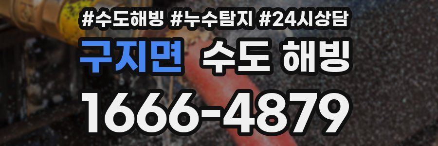 구지면 수도 해빙