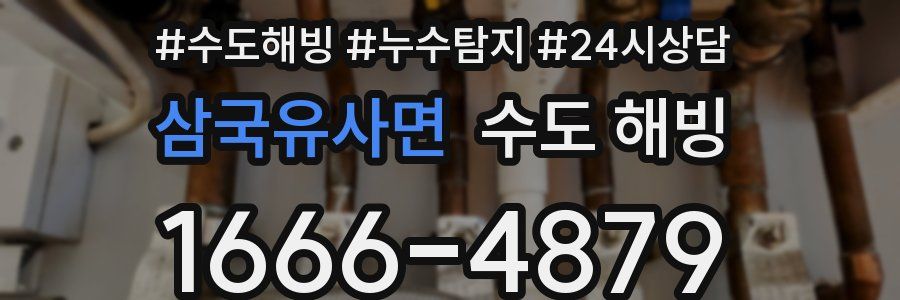 삼국유사면 수도 해빙