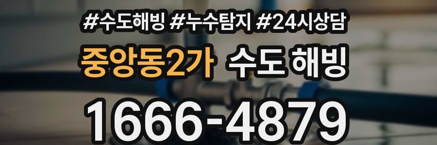 중앙동2가 수도 해빙