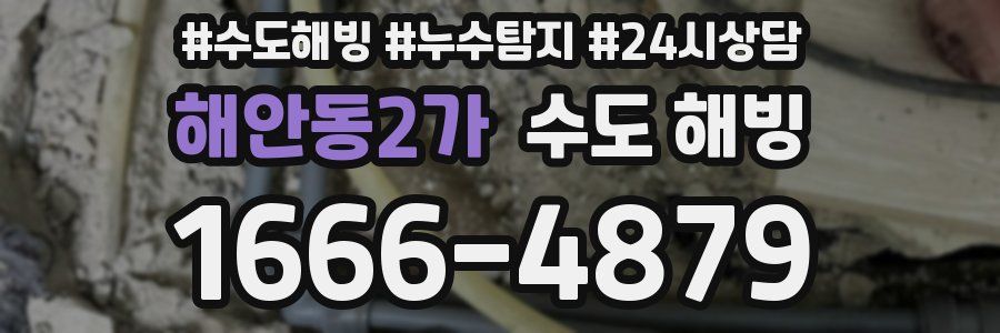 해안동2가 수도 해빙