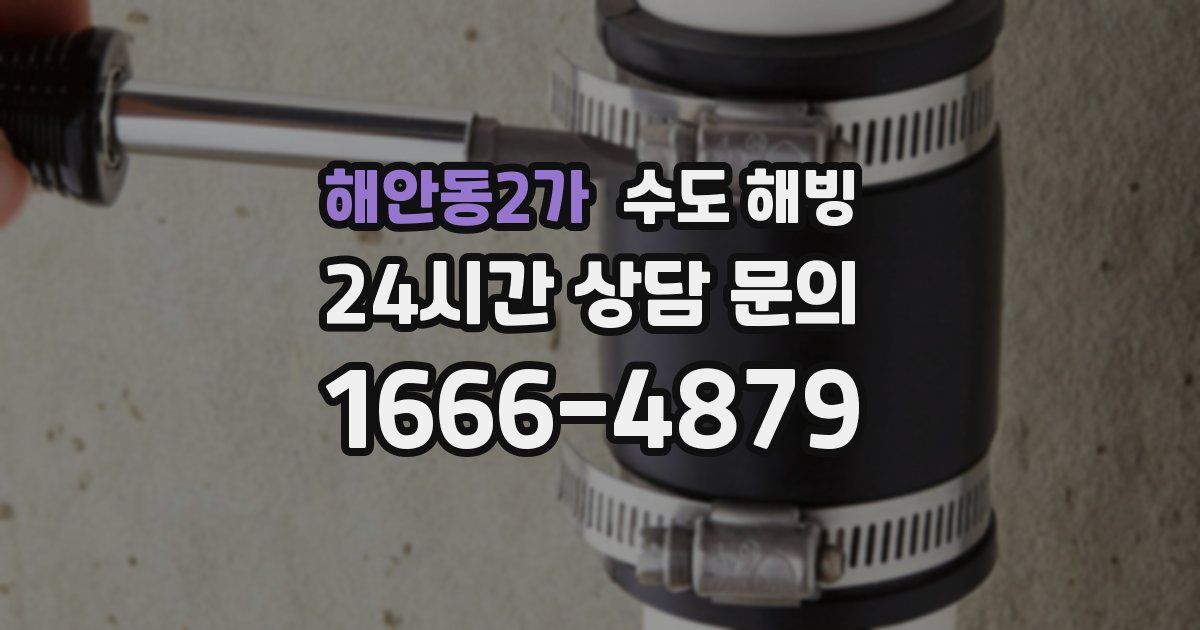 해안동2가 수도 해빙