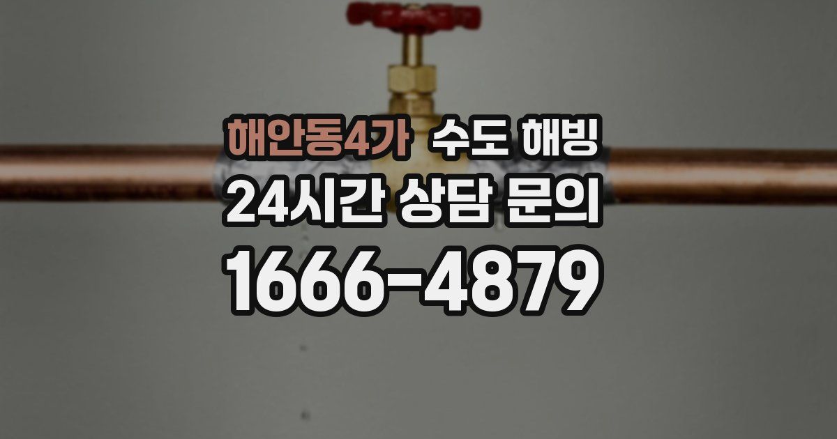 해안동4가 수도 해빙