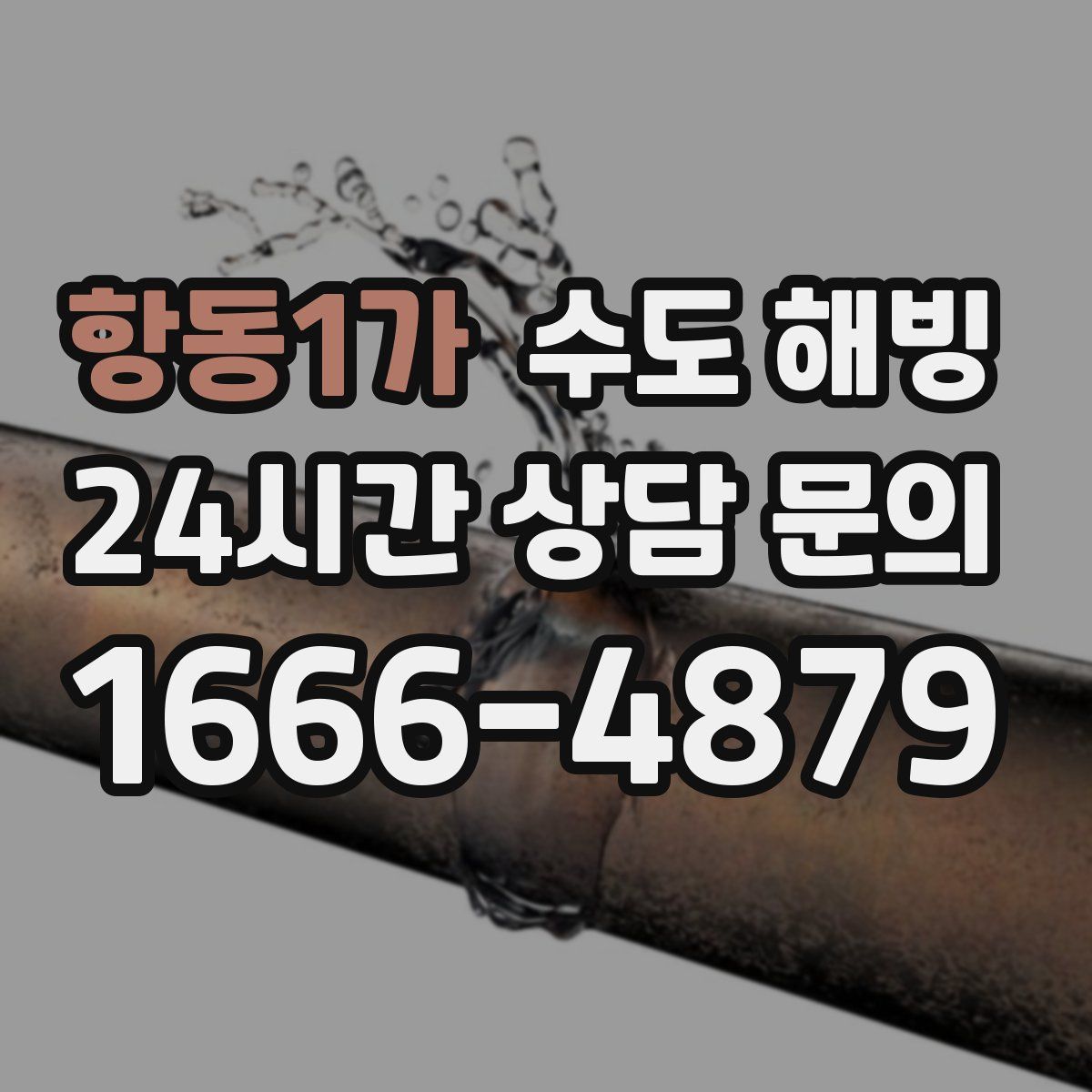 항동1가 수도 해빙