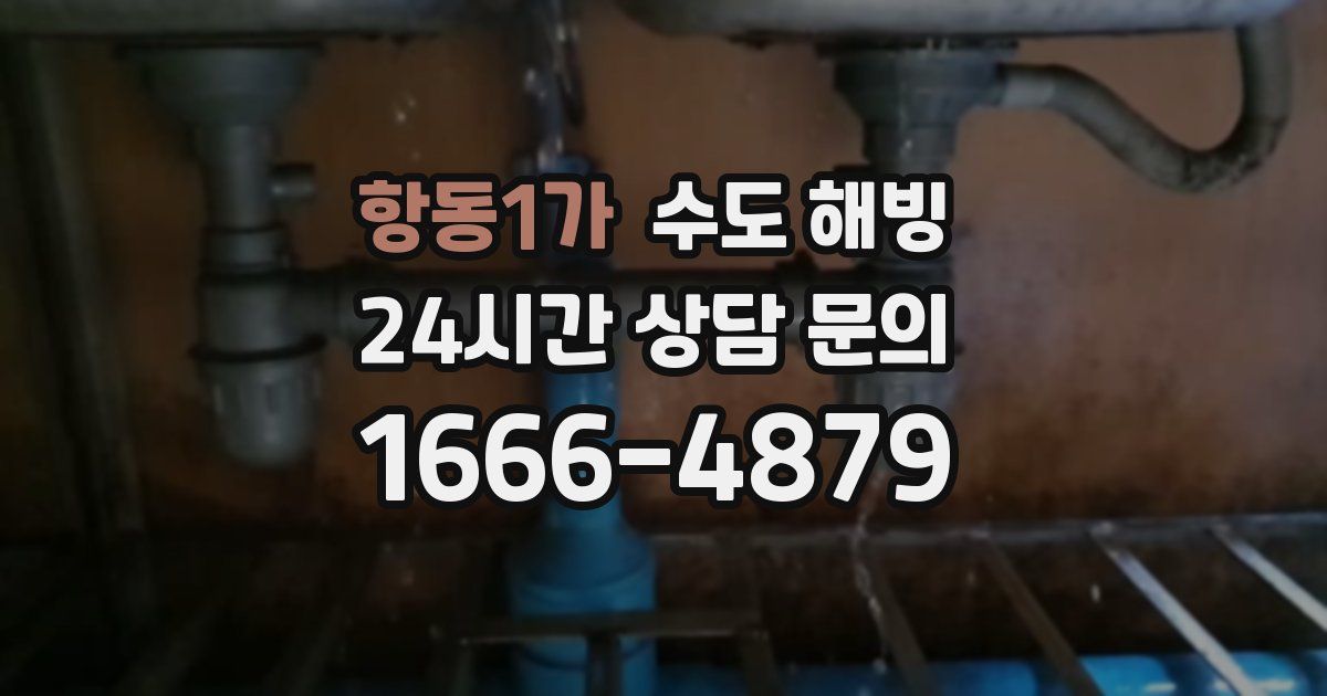 항동1가 수도 해빙