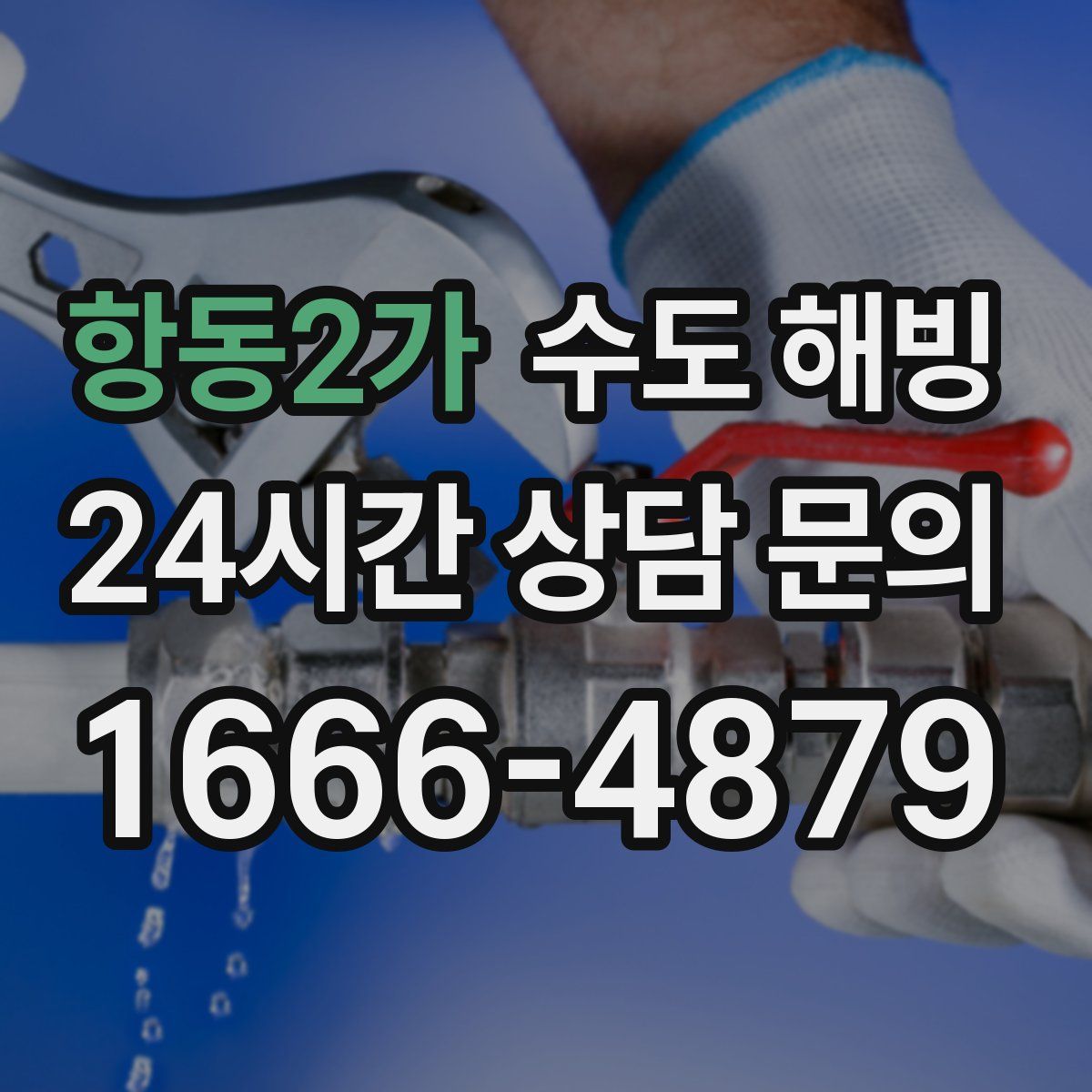 항동2가 수도 해빙