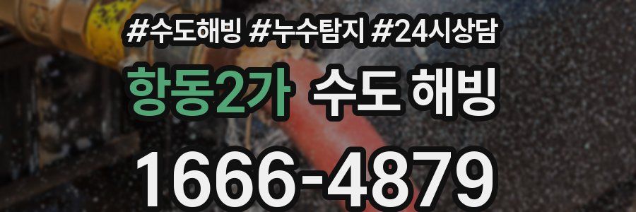 항동2가 수도 해빙