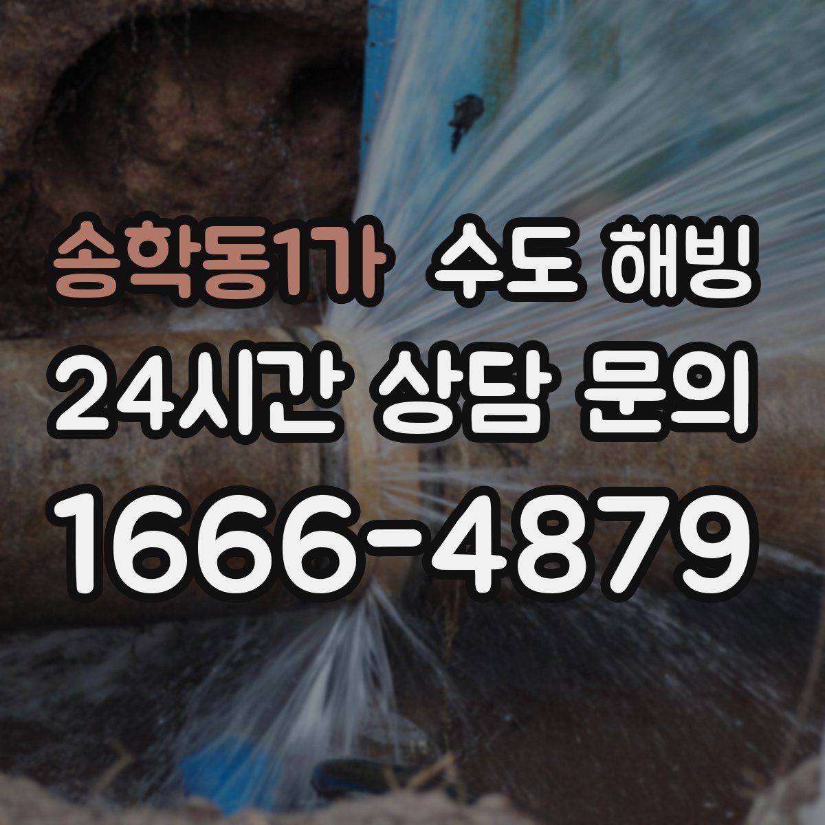 송학동1가 수도 해빙 보일러는 정상인데 물만 안 나오면