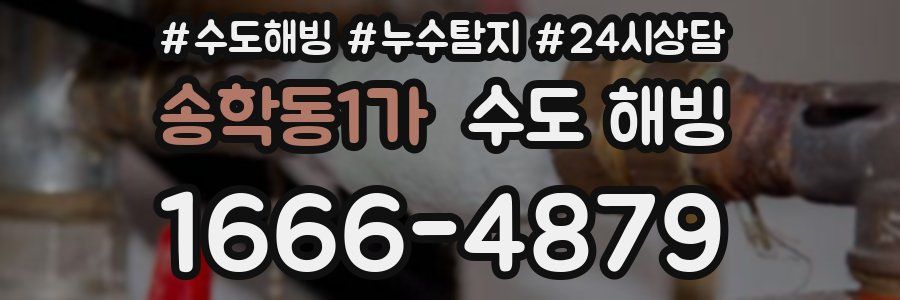 송학동1가 수도 해빙