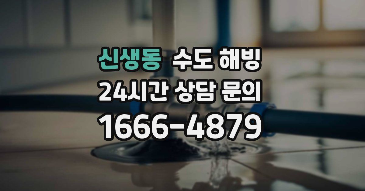 신생동 수도 해빙