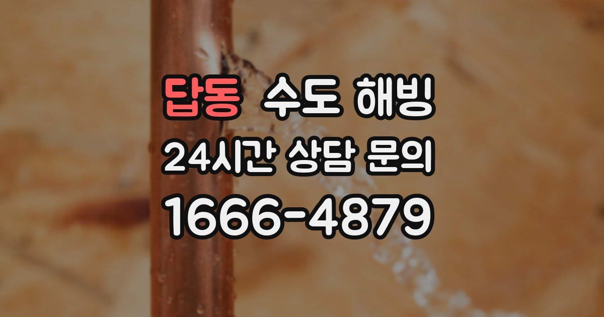 답동 수도 해빙